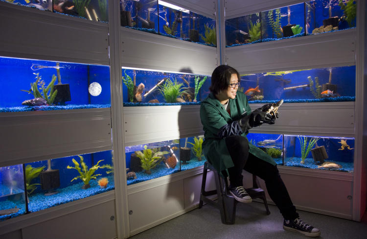 College Student Surrounded By Fish Tanks