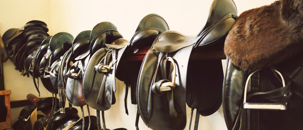 Saddles In Tack Room