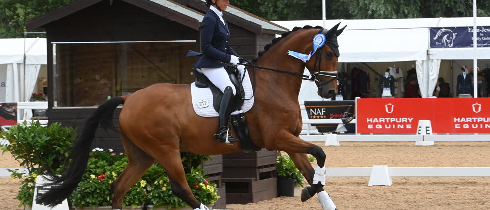 Sarah Mills Imperial Magic Dream 6 Yr Olds