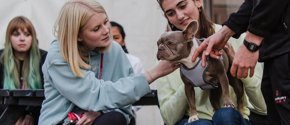 Two Women Meeting A Dog