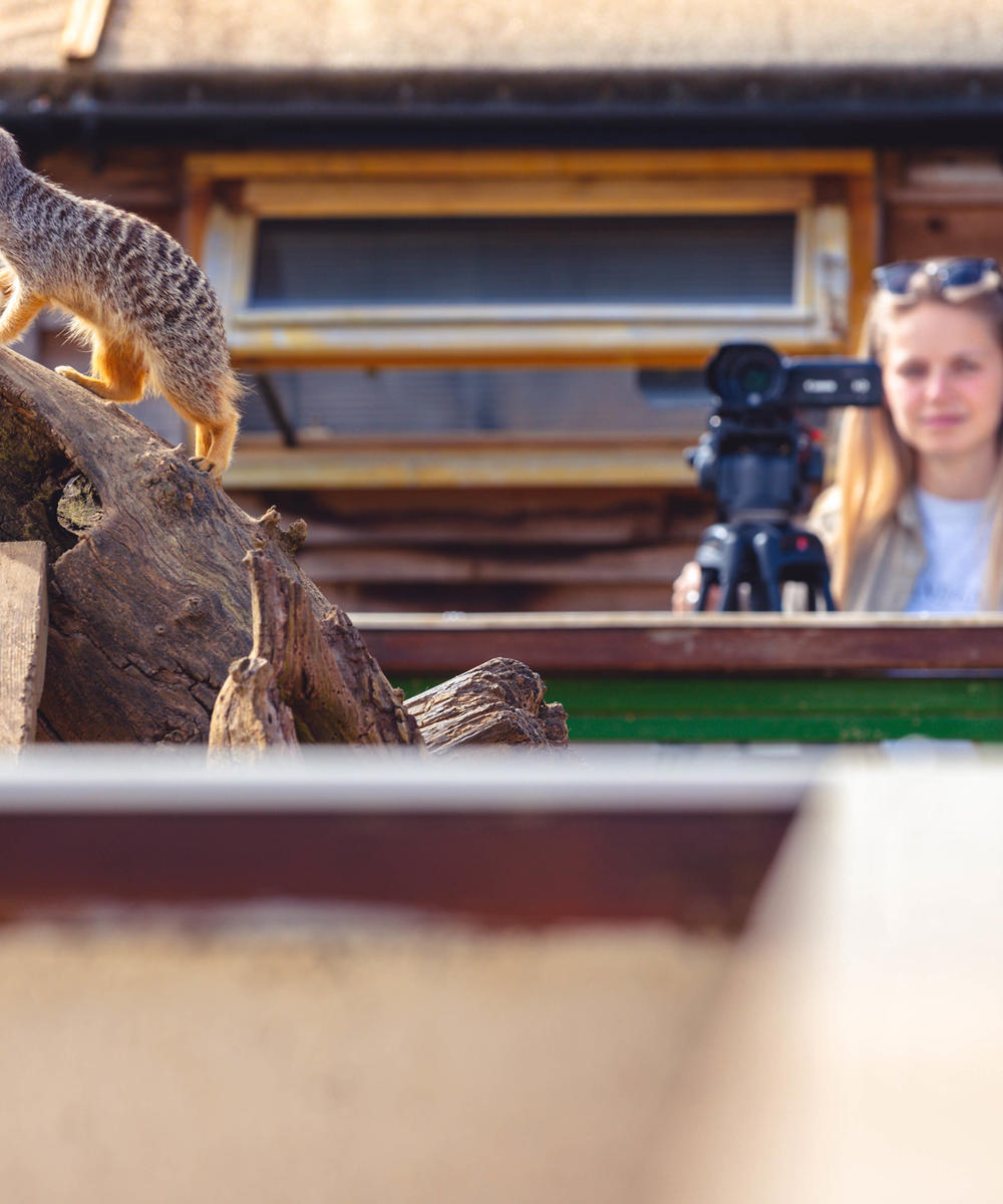 Bsc Hons Animal Training And Performance L6