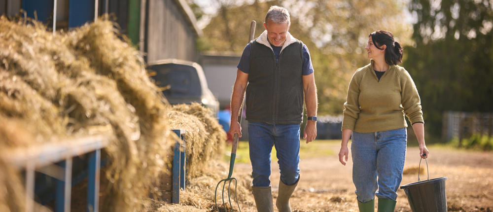 Man And Woman Walking In Cow Shed