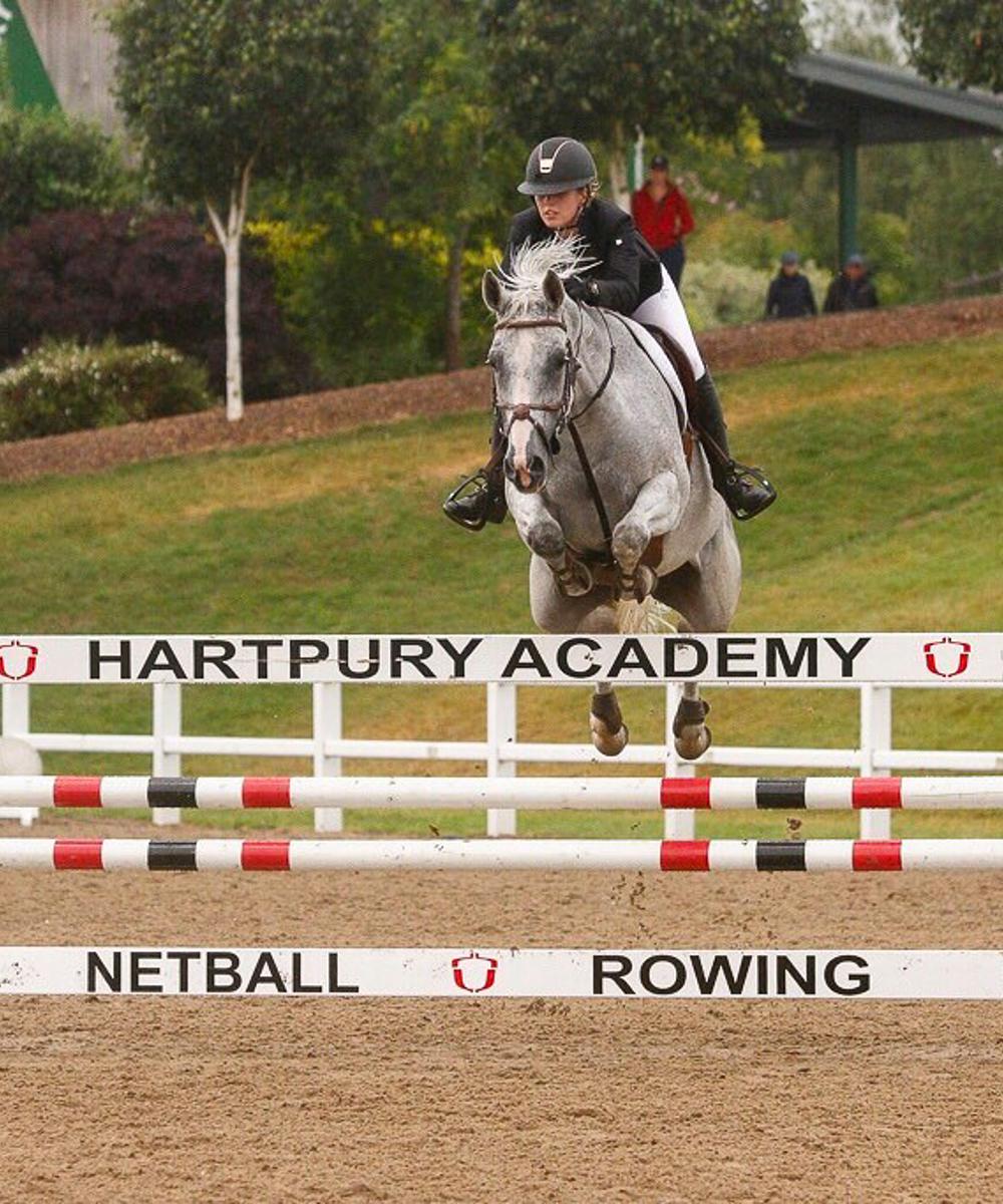 Equine Academy Hartpury