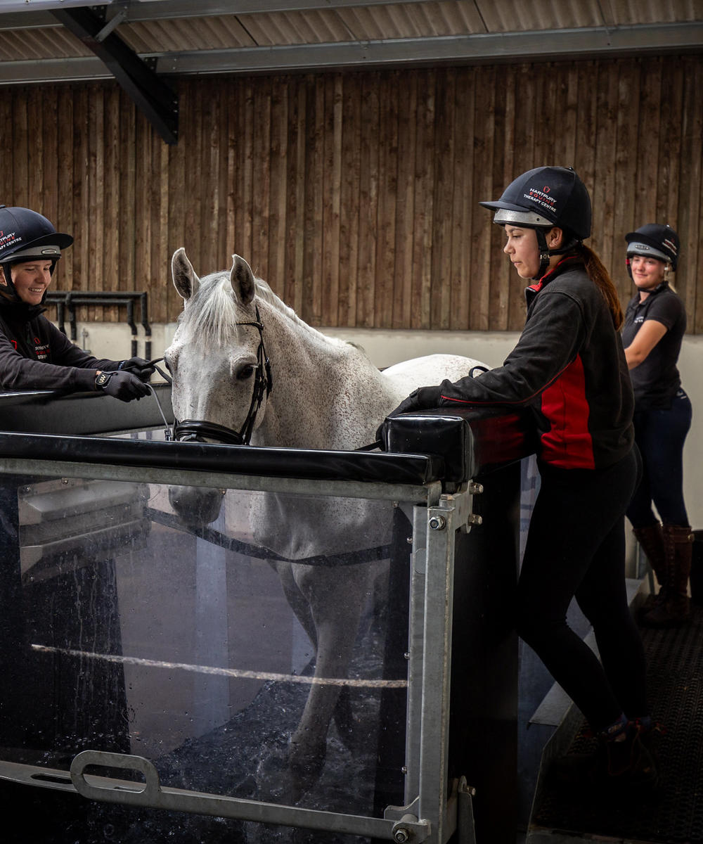 Aqua Water Treadmill Equine Therapy Centre