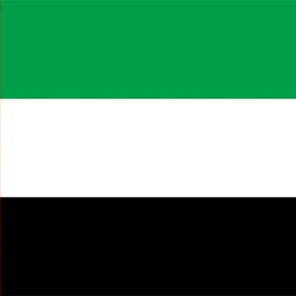 Flag United Arab Emirates