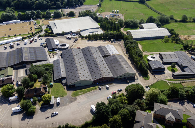 Equine Aerial