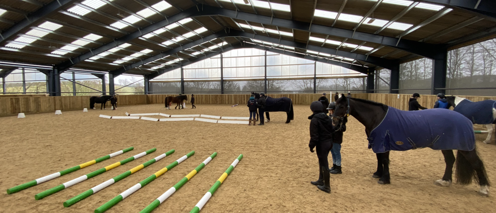 Horseback UK Poles And Horses