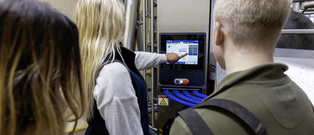 Students Using Robotic Milking Machine