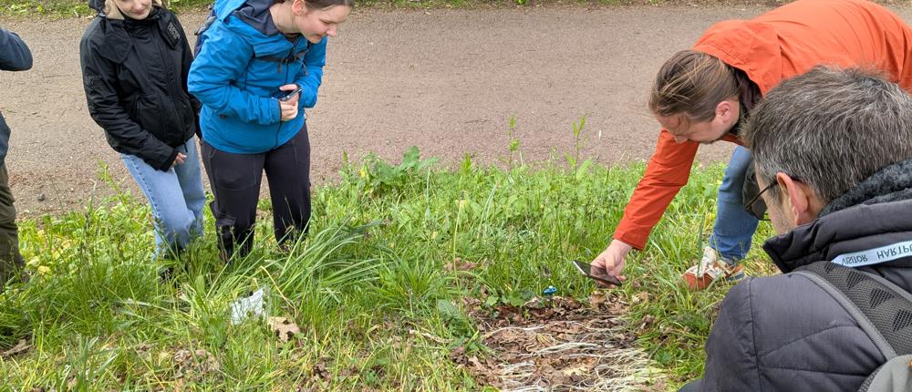 Bioblitz Event