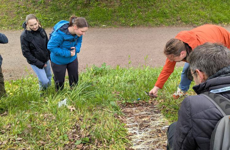 Bioblitz Event