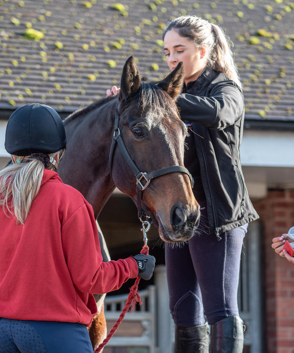 Fdsc Equine Performance Hartpury University 2024