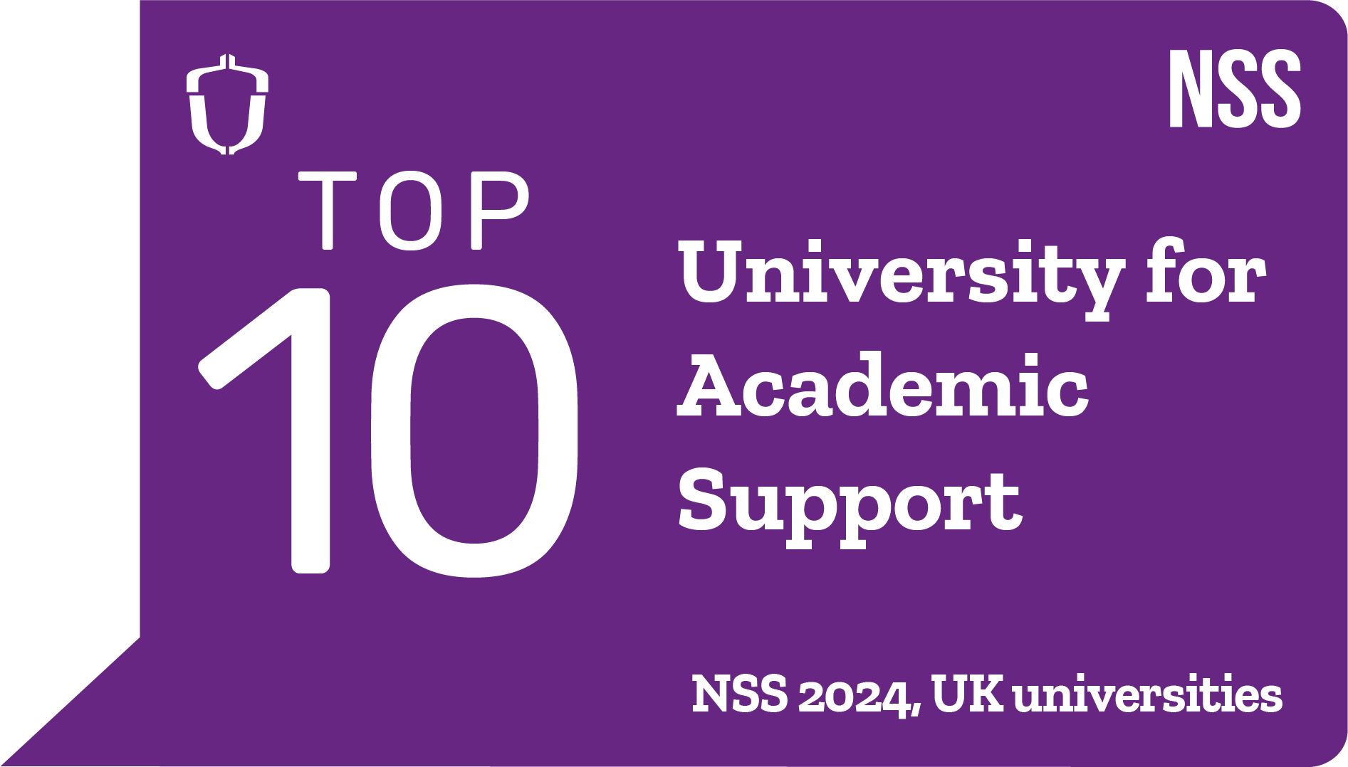 Nss 2024 Top 10 Academic Support