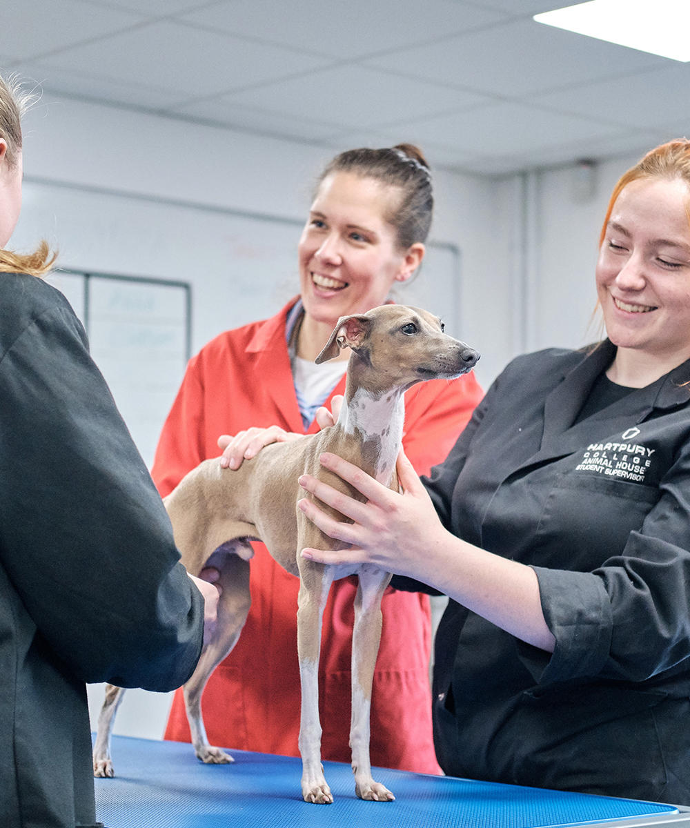 Hartpury College Animal Management Ext Certificate