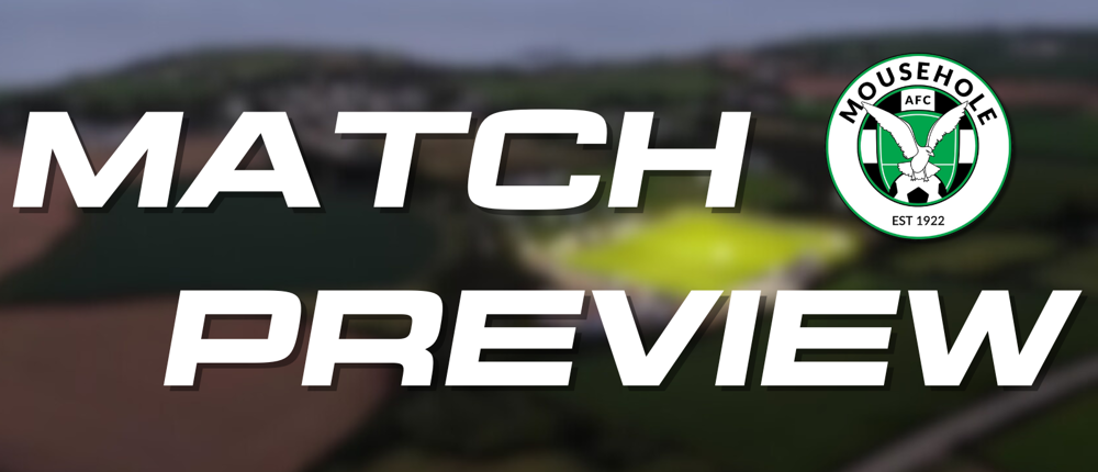 Mousehole Preview